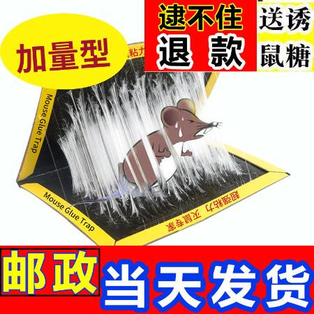 粘鼠板老鼠贴强力粘灭老鼠板胶沾捉抓老鼠夹捕灭鼠神器家用克星