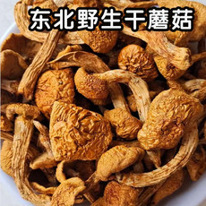 红中金 东北黄蘑干货小鸡炖蘑菇