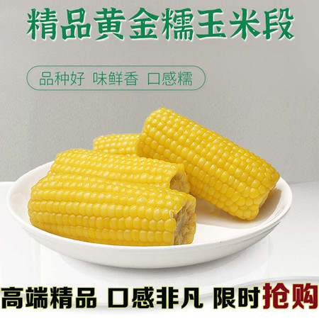  黑龙江巴彦 冰国 精品黄金玉米段图片