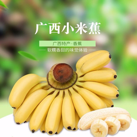 【香蕉9斤装】广西小米蕉香蕉水果批发当季新鲜水果【大牛美食】图片