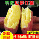 【板栗红薯】新鲜红薯农家番薯沙地板栗红蜜薯香薯地瓜带箱10斤【大均良品】