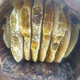 农家自产 沙湾板水峡谷野生土蜂蜜100克