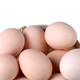 罗山绿山窝 土鸡蛋50枚散养绿色土鸡蛋良心蛋放心蛋