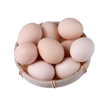 罗山绿山窝 土鸡蛋50枚散养绿色土鸡蛋良心蛋放心蛋