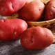 岱海 中国薯都内蒙古乌兰察布岱海红土豆5斤 沙绵糯香 产自中国薯都 富含花青素