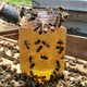 蜂蜜天然正品纯野生深山百花蜜农.家自产自销自然成熟封盖土蜂蜜