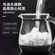 【多功能家用全自动】养生壶加厚玻璃煮茶器煮花茶壶电热烧水壶