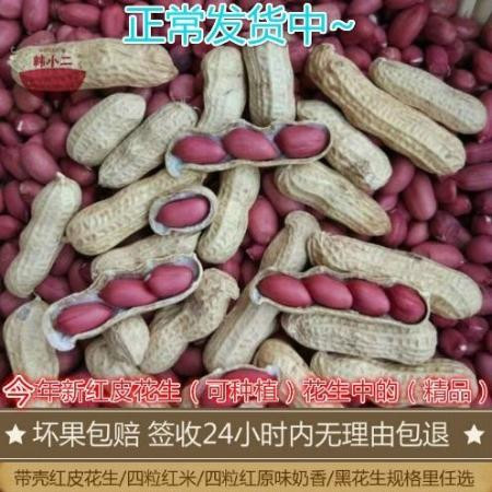 新货【生和熟多规格可选】红皮花生米四粒红花生果原味红皮花生图片