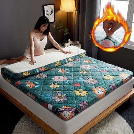 法兰绒床垫家用睡垫加厚软垫宿舍学生单人床垫子双人1.8米床褥垫图片
