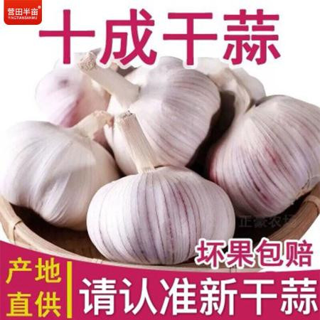 【超低价抢购】山东紫皮大蒜新蒜干蒜批发2斤5斤10斤大蒜头紫白皮图片