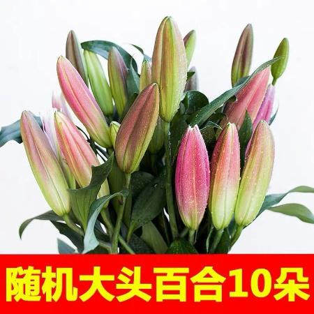 云南昆明基地直发真花水养鲜花束香水百合批发玫瑰家用教师节礼物图片