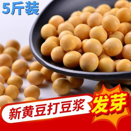 东北黄豆农家自种非转基因大豆打豆浆发豆芽专用豆子3斤5斤一包【A】图片