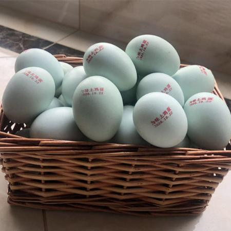 【邮政快递 包邮到家】正宗农家散养土鸡蛋新鲜绿壳土鸡蛋柴鸡蛋笨鸡蛋图片
