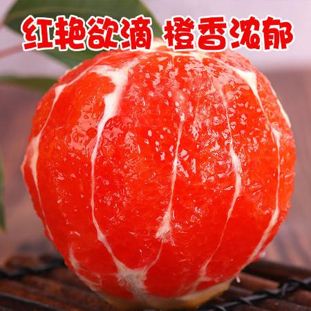 【橙中贵族】秭归血橙中华红肉脐橙新鲜橙子5/3/9斤单果100-300g