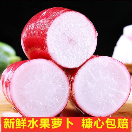 1/5斤装水萝卜新鲜现摘红皮白心萝卜泡菜腌菜原料生吃萝卜蔬菜图片