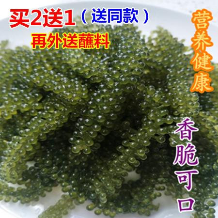 盐渍新鲜海葡萄长寿菜海藻菜海菜寿司绿色鱼子酱100g