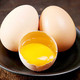 农家土鸡蛋 散养草鸡蛋 新鲜蛋 月子蛋 笨鸡蛋 散养柴鸡蛋【拼团】