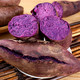 紫薯 新鲜蜜甜薯 山东农家板栗香红沙土地瓜糖心蔬菜山芋小番薯