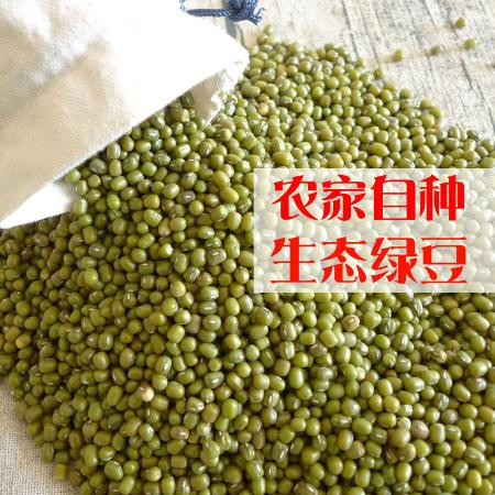 用心种豆才能产出好绿豆绿豆5斤东北农家新绿豆1000g绿豆粥解暑绿豆汤笨绿豆发豆芽绿豆糕图片