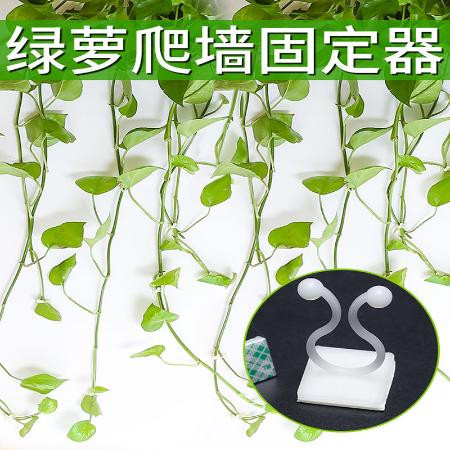 【拼购更实惠】绿萝爬墙绿植固定器定型藤蔓墙上攀爬固定自粘式架无痕挂钩神器