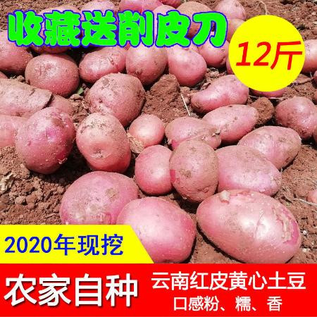 云南现挖新鲜土豆精选沙地洋芋红皮黄心马铃薯农家自种5斤/10斤小土豆L图片