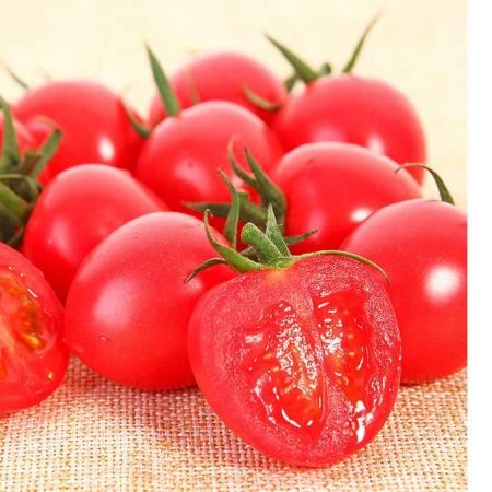 圣女果小西红柿番茄水果新鲜蔬菜应季水果整箱批发5斤GG图片