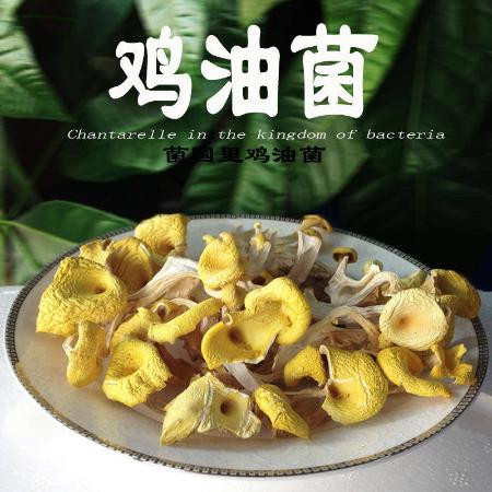 新货鸡油菌干货云南非野生菌土特产蘑菇菌菇汤图片