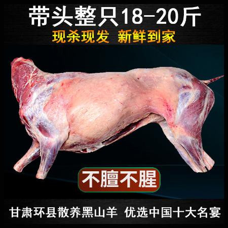 整羊肉新鲜羊后腿整只羔羊肉批发烧烤全羊食材环县黑山羊排滩羊肉