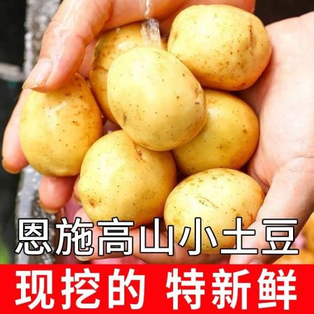 【超低价】2021新土豆恩施富硒黄心小土豆洋芋蔬菜3斤5斤马铃薯图片