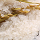 【充氮保鲜米】友吉源东北大米新米原种小町王农家粳米寿司珍珠圆粒10斤包邮独立包装