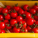 农家自产 新疆小番茄樱桃小西红柿当季应季孕妇水果生吃圣女果