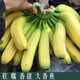 广西涠洲岛青-皮香蕉9斤装