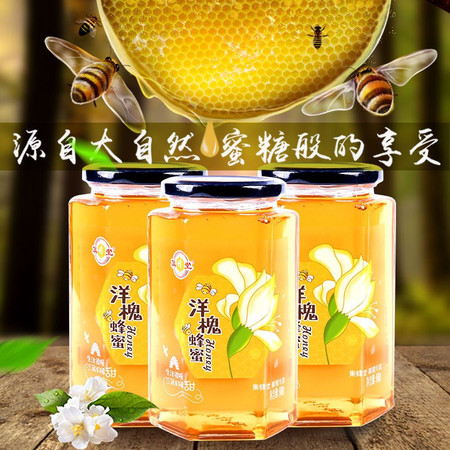 集蜂堂 【邮政助农】湖北随州市 集蜂堂 枣花蜂蜜 800g/瓶 （每瓶重800g）全国包邮图片