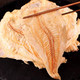 【新货上市】烤鱼片即食烤鱼片[100克X2袋]鳕鱼片无淀粉休闲办公度假海味小零食。