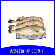 百仙岛 生冻大黄花鱼3斤（一斤一条 共3条）