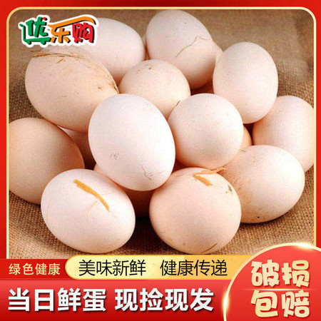 【农家土鸡蛋】农家散养土鸡蛋孕妇儿童鸡蛋草鸡蛋新鲜柴鸡蛋笨鸡蛋【优乐购】