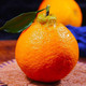 【果园直发】云南高山丑橘5斤中大果（果径75mm以上)应季新鲜水果包邮