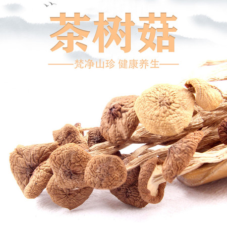 铜三珍 铜仁梵净山茶树菇图片