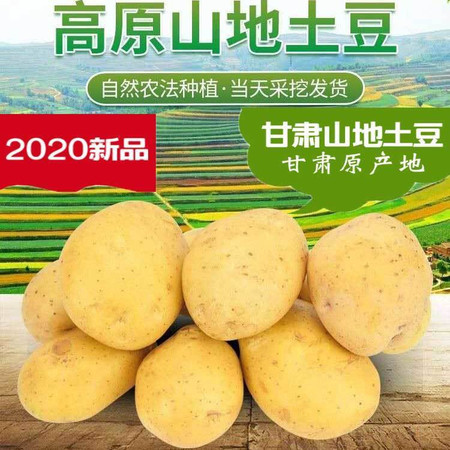 【10斤】大西北高原特产新鲜黄心土豆现挖甘肃黄皮洋芋高含量马铃薯【小度美食】图片