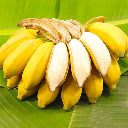  【9斤装】广西香蕉小米蕉新鲜水果应季香焦小香蕉当季整箱【小度美食】图片