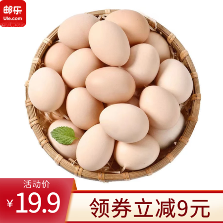 正宗新鲜铜山湖土鸡蛋  农家散养 30枚1400g±100g 左右批发价