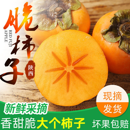 【到手即吃】陕西脆柿子水果新鲜10斤脆甜整箱1斤甜硬应季黄柿子图片