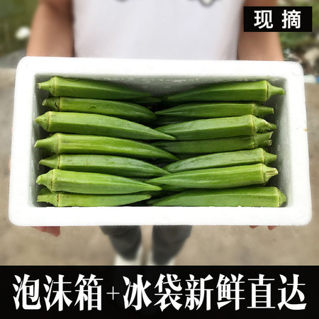 【精】【发货快】露天种植新鲜秋葵1-5斤水果蔬菜黄秋葵干果50g图片