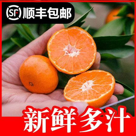 荷田下  【5斤装】冰糖无核蜜桔新鲜水果孕妇水果早熟桔子无核薄皮应季新鲜水果现摘现发