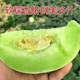 玉菇甜瓜蜜瓜10斤新鲜水果批发当季脆玉茹香瓜哈密瓜羊角蜜2/5斤【飞哥美食】