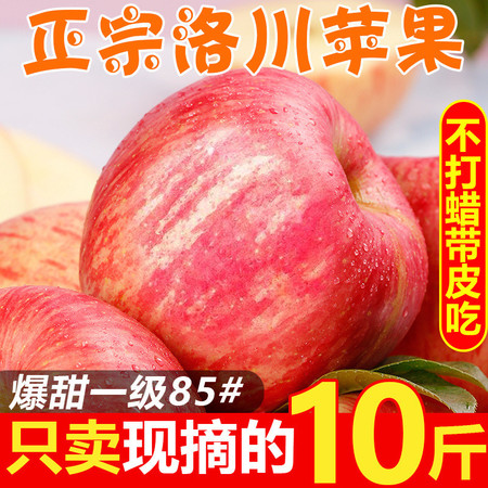 陕西洛川苹果红富士冰糖心苹果水果批发10斤5斤脆甜【飞哥美食】图片