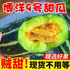 天拖 【天津西青特产】西青博洋9号甜瓜