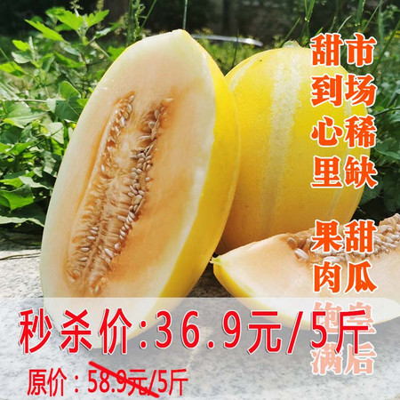 天拖 秒杀:36.9元 【  天津西青特产】金蜜518甜瓜5斤装图片
