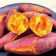 【10斤】沙地红蜜薯红薯新鲜地瓜黄心板栗薯香甜蔬菜番薯整箱批发【华洛美食】