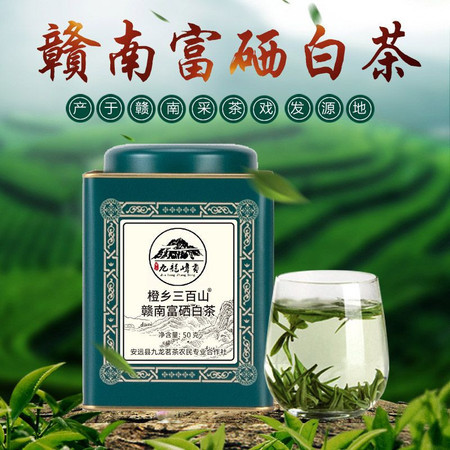 田园大哥 赣南2023明前新茶富硒白茶100g/罐 1罐100g